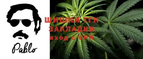 СК Балахна