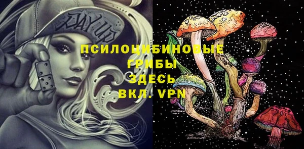 СК Балахна
