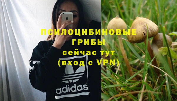 MESCALINE Баксан