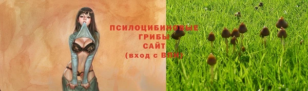 MESCALINE Баксан