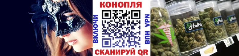 Бошки Шишки семена Сельцо